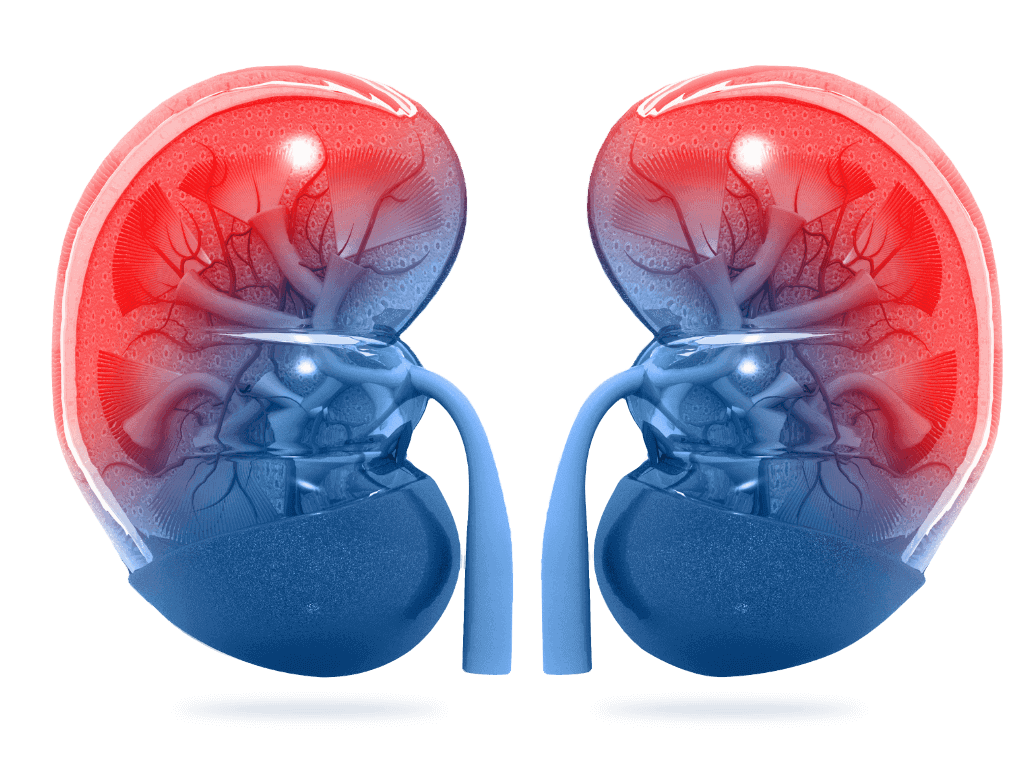First Dialysis Clinic logo